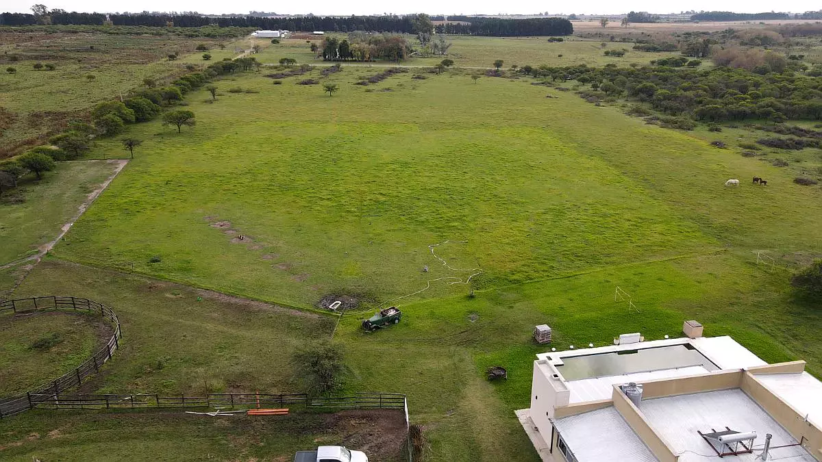 campo en venta 21 hectáreas sobre ruta – gualeguaychú campos en entre rios campos argentinos (6)