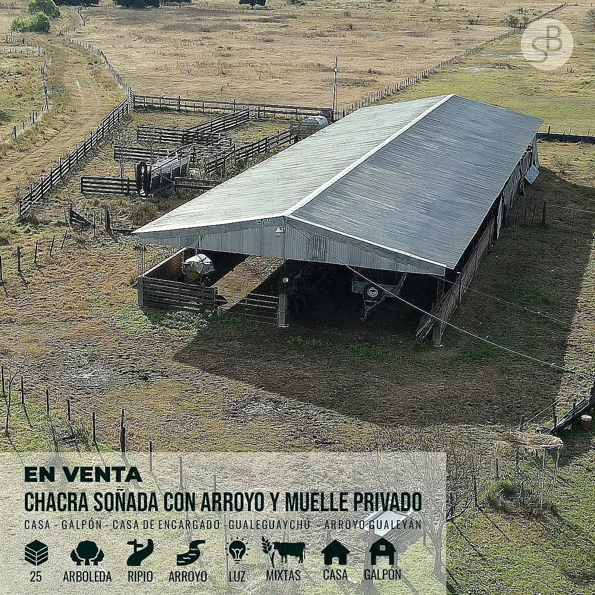 Venta de campos en Gualeguaychú,Campos ganaderos en venta Entre Ríos,Terrenos agrícolas en Gualeguaychú,Venta de campos mixtos en Entre Ríos,Oportunidades de inversión en tierras en Entre Ríos,Campos productivos en venta en Gualeguaychú,Inversiones rurales en Gualeguaychú,Venta de propiedades rurales en Entre Ríos,Terrenos para agricultura y ganadería en Gualeguaychú