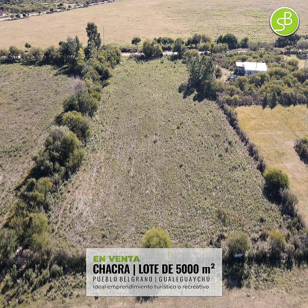 Venta de campos en Gualeguaychú,Campos ganaderos en venta Entre Ríos,Terrenos agrícolas en Gualeguaychú,Venta de campos mixtos en Entre Ríos,Oportunidades de inversión en tierras en Entre Ríos,Campos productivos en venta en Gualeguaychú,Inversiones rurales en Gualeguaychú,Venta de propiedades rurales en Entre Ríos,Terrenos para agricultura y ganadería en Gualeguaychú