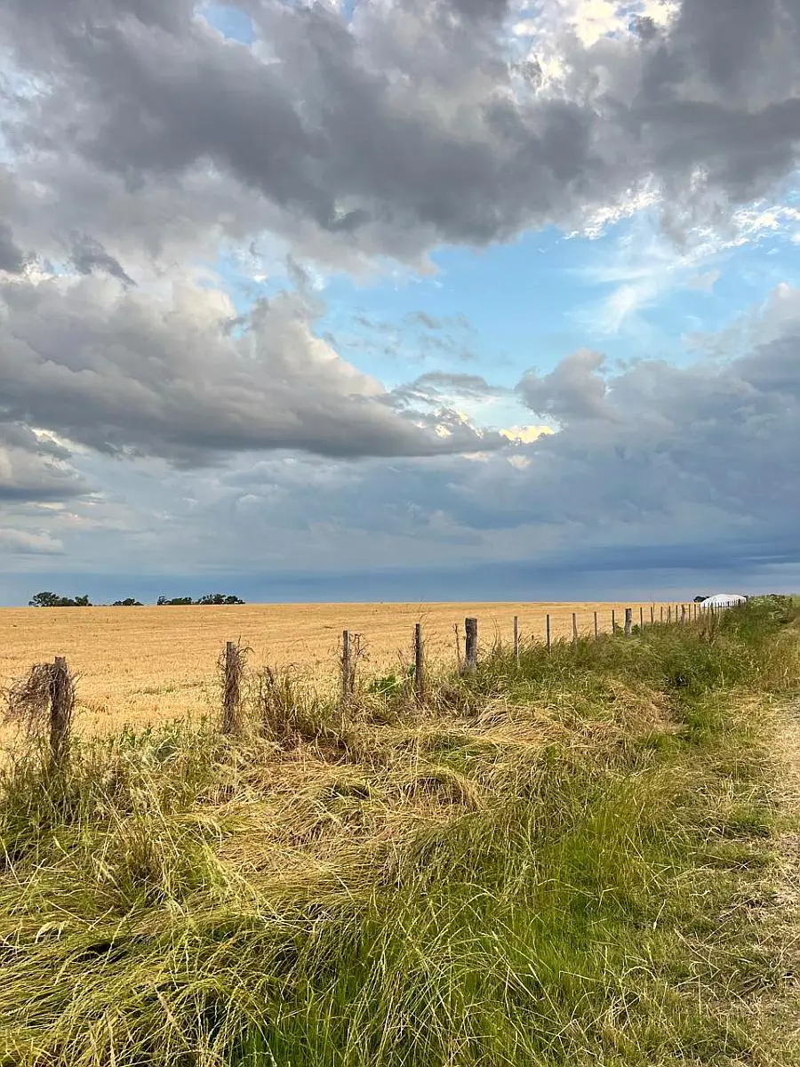 en venta en gualeguaychu 60 hectáreas agrícolas campos argentinos campos entrerrianos campos en entre rios (8)