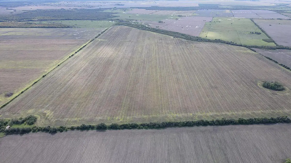 Venta de campos en Gualeguaychú,Campos ganaderos en venta Entre Ríos,Terrenos agrícolas en Gualeguaychú,Venta de campos mixtos en Entre Ríos,Oportunidades de inversión en tierras en Entre Ríos,Campos productivos en venta en Gualeguaychú,Inversiones rurales en Gualeguaychú,Venta de propiedades rurales en Entre Ríos,Terrenos para agricultura y ganadería en Gualeguaychú