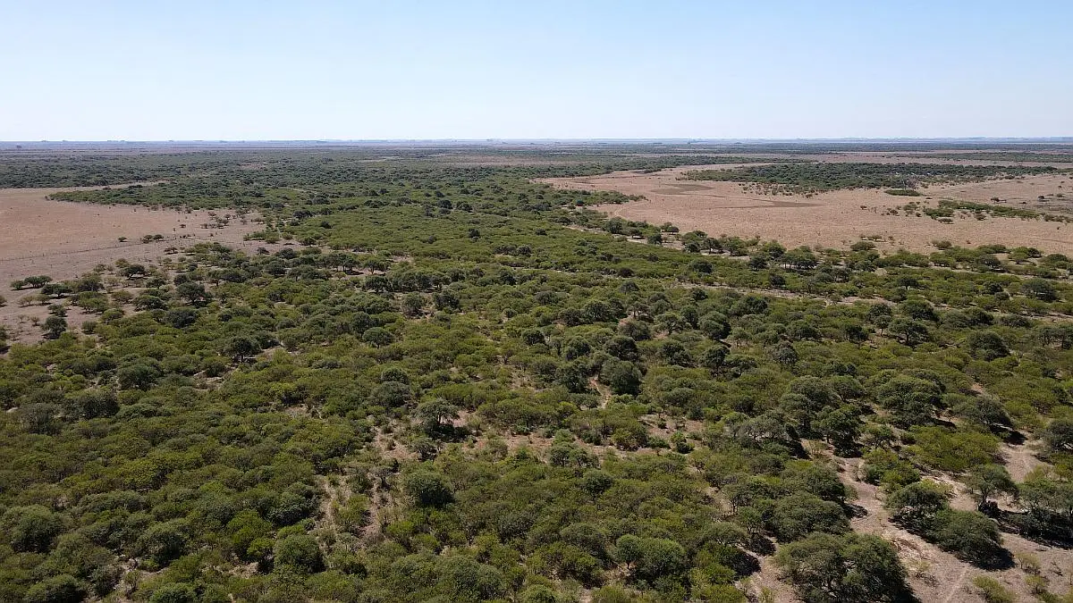 Venta de campos en Gualeguaychú,Campos ganaderos en venta Entre Ríos,Terrenos agrícolas en Gualeguaychú,Venta de campos mixtos en Entre Ríos,Oportunidades de inversión en tierras en Entre Ríos,Campos productivos en venta en Gualeguaychú,Inversiones rurales en Gualeguaychú,Venta de propiedades rurales en Entre Ríos,Terrenos para agricultura y ganadería en Gualeguaychú