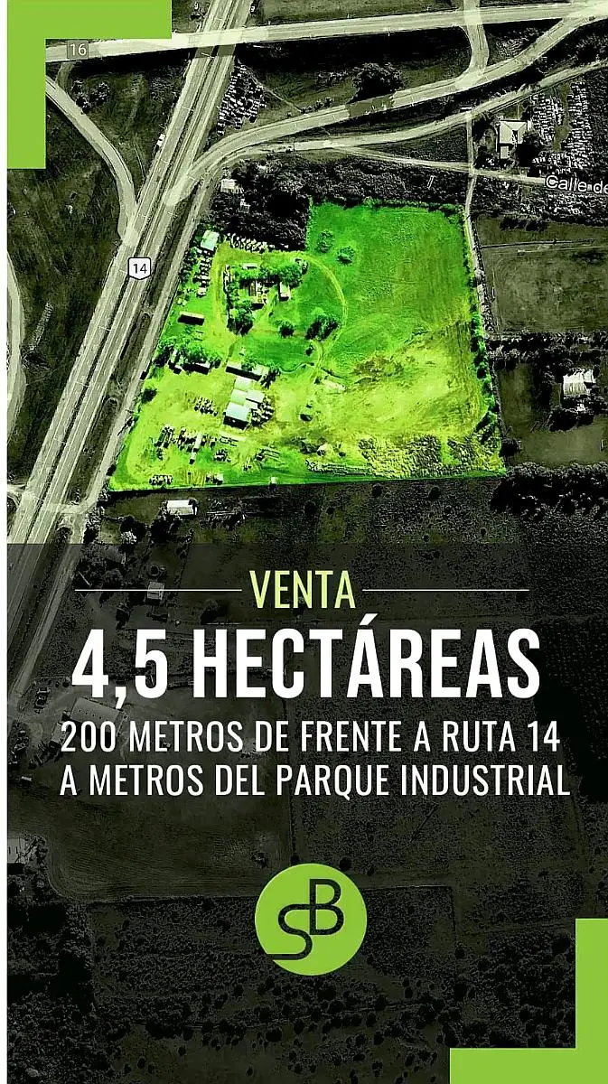Venta de campos en Gualeguaychú,Campos ganaderos en venta Entre Ríos,Terrenos agrícolas en Gualeguaychú,Venta de campos mixtos en Entre Ríos,Oportunidades de inversión en tierras en Entre Ríos,Campos productivos en venta en Gualeguaychú,Inversiones rurales en Gualeguaychú,Venta de propiedades rurales en Entre Ríos,Terrenos para agricultura y ganadería en Gualeguaychú
