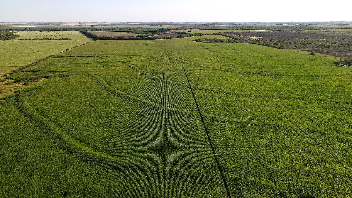 Venta de campos en Gualeguaychú,Campos ganaderos en venta Entre Ríos,Terrenos agrícolas en Gualeguaychú,Venta de campos mixtos en Entre Ríos,Oportunidades de inversión en tierras en Entre Ríos,Campos productivos en venta en Gualeguaychú,Inversiones rurales en Gualeguaychú,Venta de propiedades rurales en Entre Ríos,Terrenos para agricultura y ganadería en Gualeguaychú