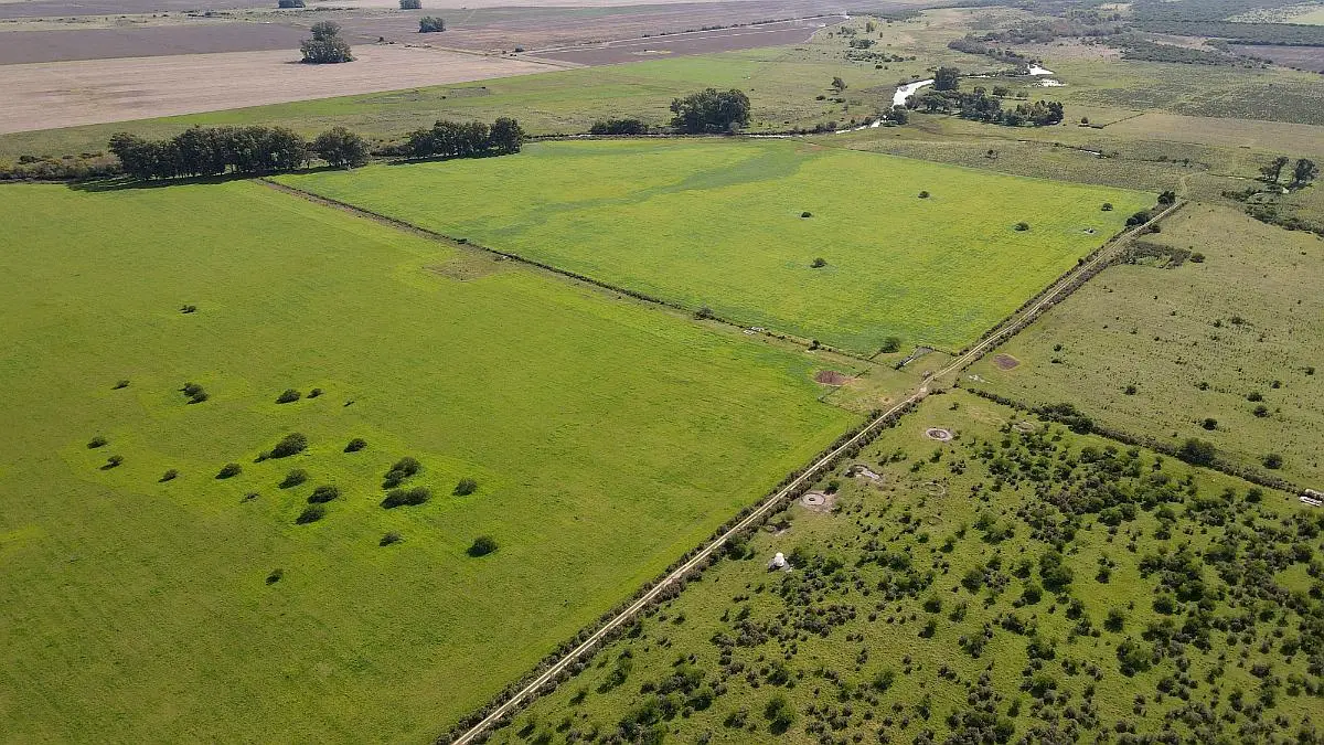 Venta de campos en Gualeguaychú,Campos ganaderos en venta Entre Ríos,Terrenos agrícolas en Gualeguaychú,Venta de campos mixtos en Entre Ríos,Oportunidades de inversión en tierras en Entre Ríos,Campos productivos en venta en Gualeguaychú,Inversiones rurales en Gualeguaychú,Venta de propiedades rurales en Entre Ríos,Terrenos para agricultura y ganadería en Gualeguaychú