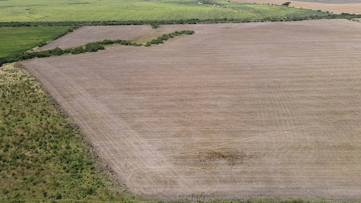 Venta de campos en Gualeguaychú,Campos ganaderos en venta Entre Ríos,Terrenos agrícolas en Gualeguaychú,Venta de campos mixtos en Entre Ríos,Oportunidades de inversión en tierras en Entre Ríos,Campos productivos en venta en Gualeguaychú,Inversiones rurales en Gualeguaychú,Venta de propiedades rurales en Entre Ríos,Terrenos para agricultura y ganadería en Gualeguaychú