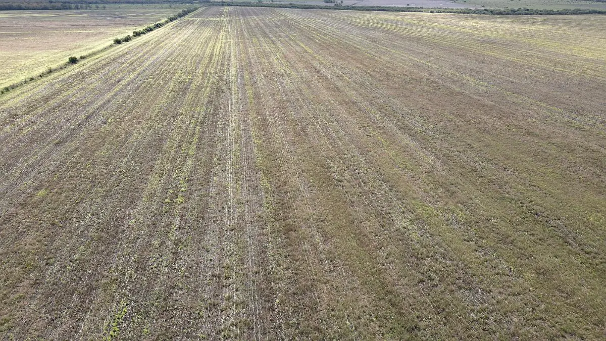 Venta de campos en Gualeguaychú,Campos ganaderos en venta Entre Ríos,Terrenos agrícolas en Gualeguaychú,Venta de campos mixtos en Entre Ríos,Oportunidades de inversión en tierras en Entre Ríos,Campos productivos en venta en Gualeguaychú,Inversiones rurales en Gualeguaychú,Venta de propiedades rurales en Entre Ríos,Terrenos para agricultura y ganadería en Gualeguaychú
