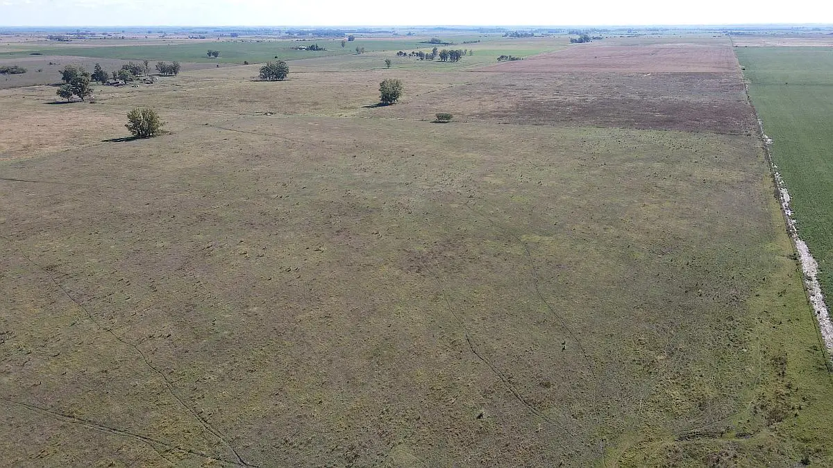 Venta de campos en Gualeguaychú,Campos ganaderos en venta Entre Ríos,Terrenos agrícolas en Gualeguaychú,Venta de campos mixtos en Entre Ríos,Oportunidades de inversión en tierras en Entre Ríos,Campos productivos en venta en Gualeguaychú,Inversiones rurales en Gualeguaychú,Venta de propiedades rurales en Entre Ríos,Terrenos para agricultura y ganadería en Gualeguaychú