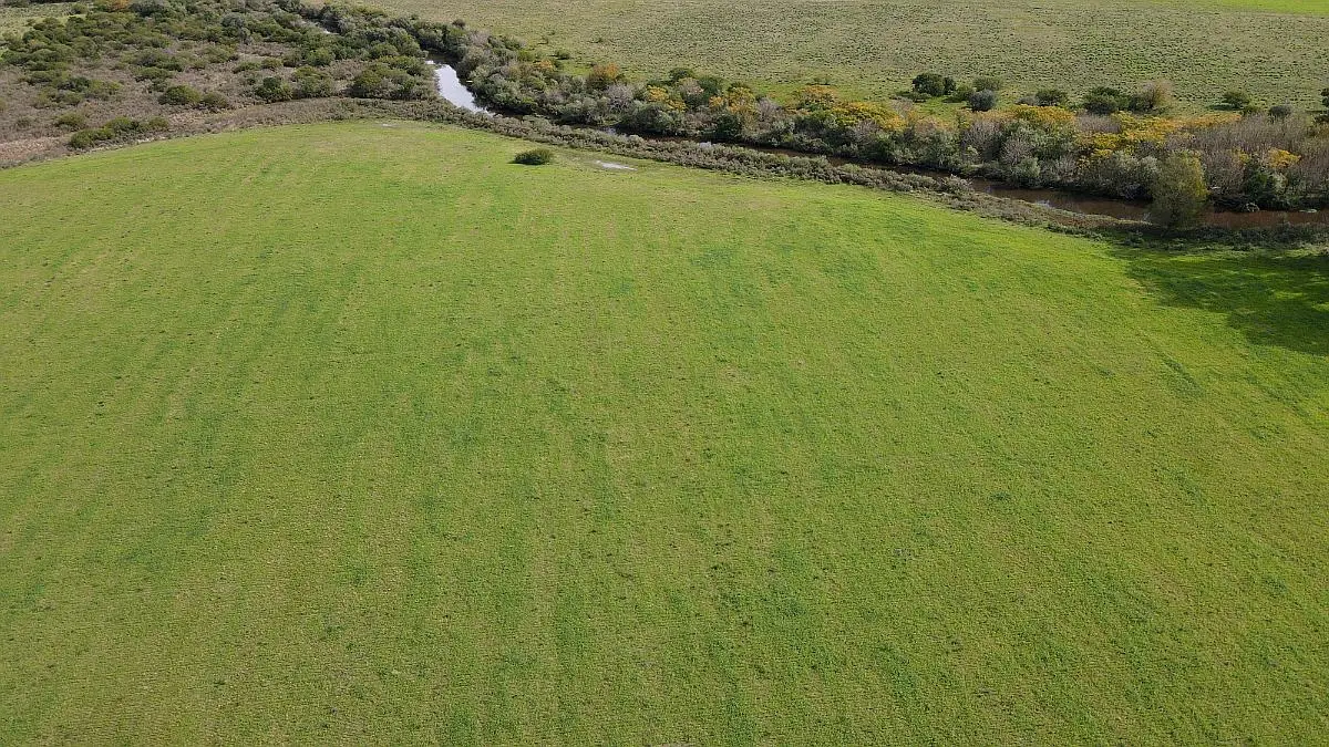 Venta de campos en Gualeguaychú,Campos ganaderos en venta Entre Ríos,Terrenos agrícolas en Gualeguaychú,Venta de campos mixtos en Entre Ríos,Oportunidades de inversión en tierras en Entre Ríos,Campos productivos en venta en Gualeguaychú,Inversiones rurales en Gualeguaychú,Venta de propiedades rurales en Entre Ríos,Terrenos para agricultura y ganadería en Gualeguaychú