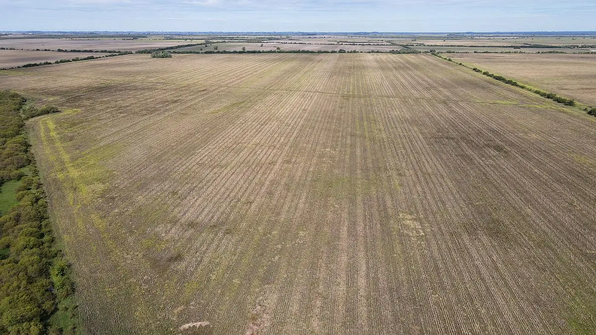 Venta de campos en Gualeguaychú,Campos ganaderos en venta Entre Ríos,Terrenos agrícolas en Gualeguaychú,Venta de campos mixtos en Entre Ríos,Oportunidades de inversión en tierras en Entre Ríos,Campos productivos en venta en Gualeguaychú,Inversiones rurales en Gualeguaychú,Venta de propiedades rurales en Entre Ríos,Terrenos para agricultura y ganadería en Gualeguaychú