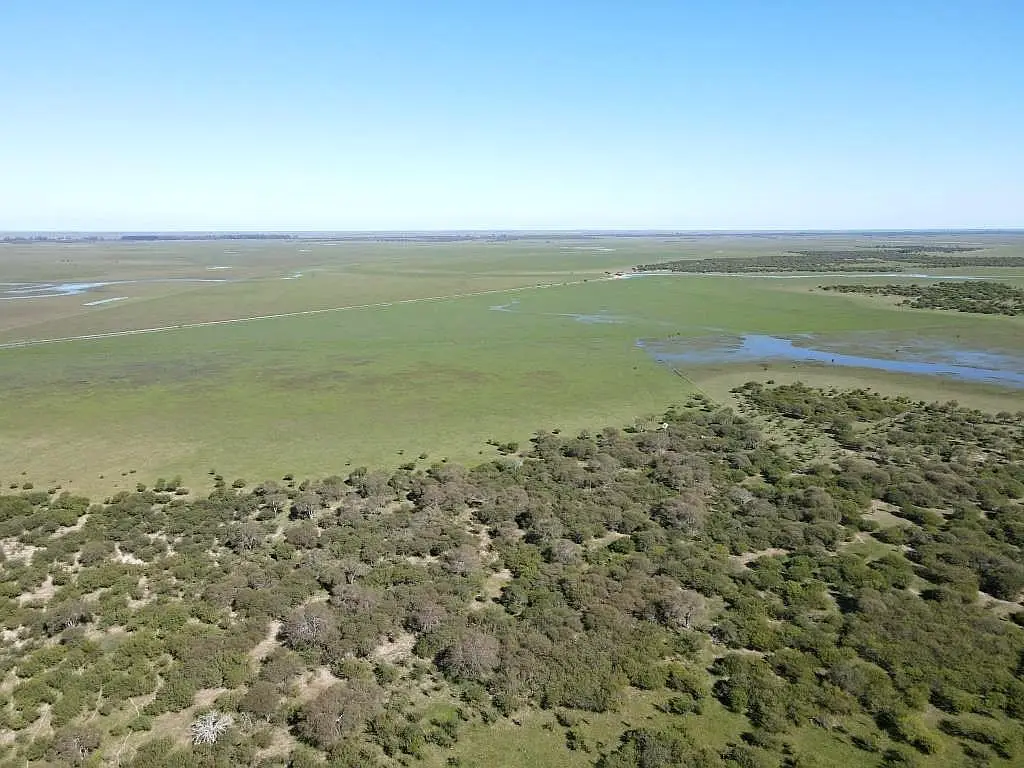 Venta de campos en Gualeguaychú,Campos ganaderos en venta Entre Ríos,Terrenos agrícolas en Gualeguaychú,Venta de campos mixtos en Entre Ríos,Oportunidades de inversión en tierras en Entre Ríos,Campos productivos en venta en Gualeguaychú,Inversiones rurales en Gualeguaychú,Venta de propiedades rurales en Entre Ríos,Terrenos para agricultura y ganadería en Gualeguaychú