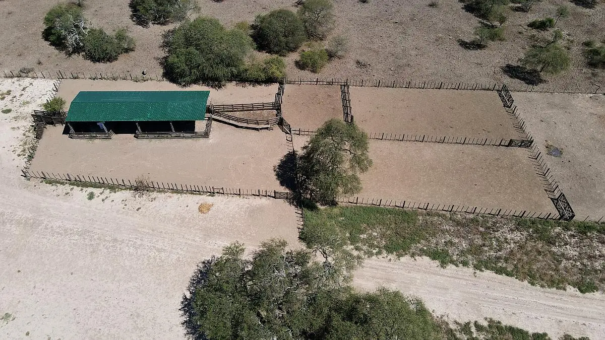 Venta de campos en Gualeguaychú,Campos ganaderos en venta Entre Ríos,Terrenos agrícolas en Gualeguaychú,Venta de campos mixtos en Entre Ríos,Oportunidades de inversión en tierras en Entre Ríos,Campos productivos en venta en Gualeguaychú,Inversiones rurales en Gualeguaychú,Venta de propiedades rurales en Entre Ríos,Terrenos para agricultura y ganadería en Gualeguaychú