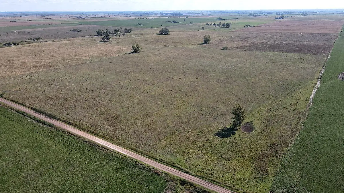 Venta de campos en Gualeguaychú,Campos ganaderos en venta Entre Ríos,Terrenos agrícolas en Gualeguaychú,Venta de campos mixtos en Entre Ríos,Oportunidades de inversión en tierras en Entre Ríos,Campos productivos en venta en Gualeguaychú,Inversiones rurales en Gualeguaychú,Venta de propiedades rurales en Entre Ríos,Terrenos para agricultura y ganadería en Gualeguaychú