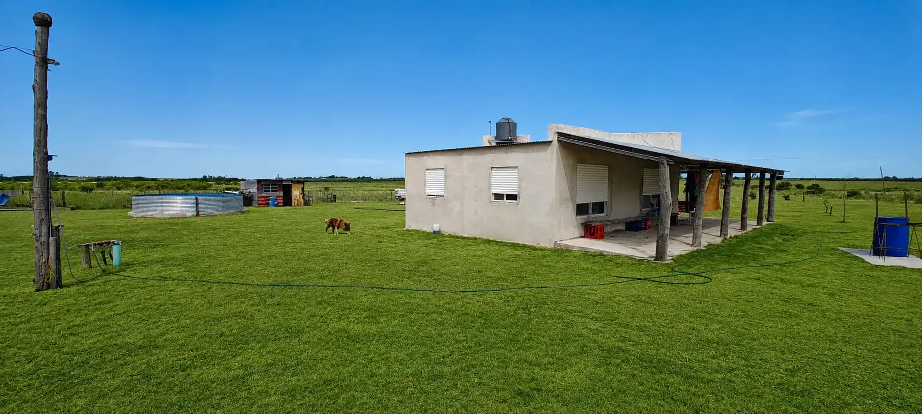 Venta de campos en Gualeguaychú,Campos ganaderos en venta Entre Ríos,Terrenos agrícolas en Gualeguaychú,Venta de campos mixtos en Entre Ríos,Oportunidades de inversión en tierras en Entre Ríos,Campos productivos en venta en Gualeguaychú,Inversiones rurales en Gualeguaychú,Venta de propiedades rurales en Entre Ríos,Terrenos para agricultura y ganadería en Gualeguaychú