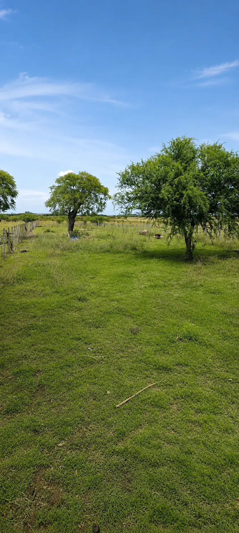 chacra en venta 8 hectareas inmobiliaria en gualeguaychu badaracco propiedades 15 (13)