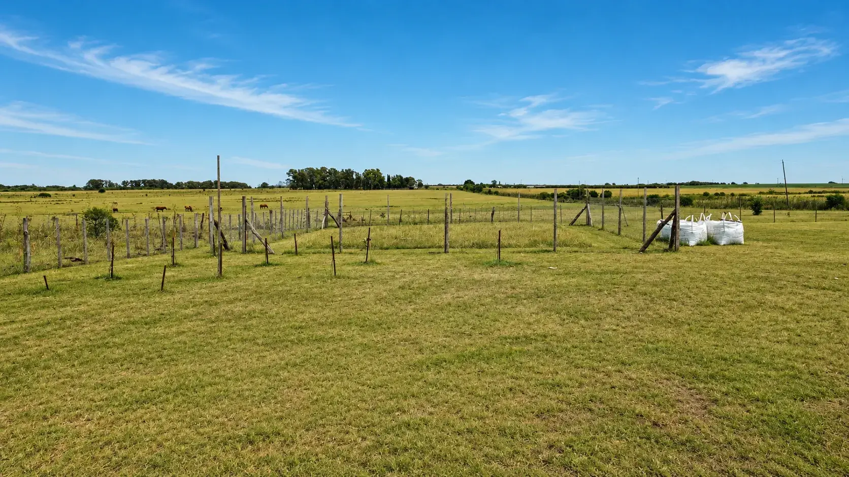 chacra en venta 8 hectareas inmobiliaria en gualeguaychu badaracco propiedades 15 (4)