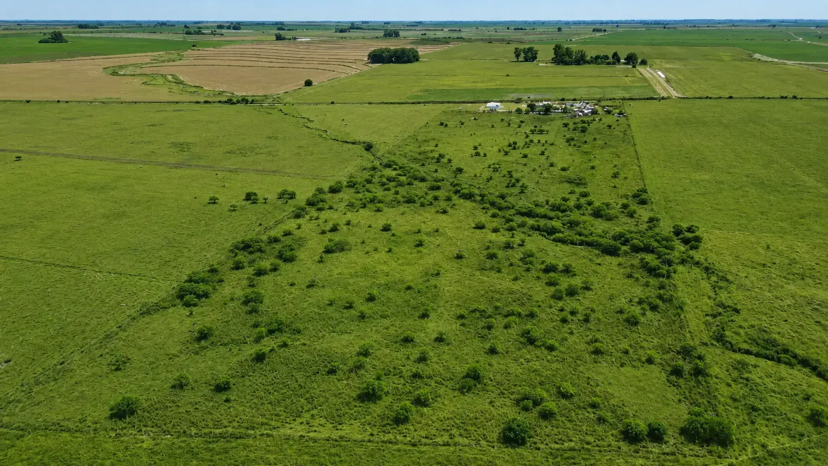 Venta de campos en Gualeguaychú,Campos ganaderos en venta Entre Ríos,Terrenos agrícolas en Gualeguaychú,Venta de campos mixtos en Entre Ríos,Oportunidades de inversión en tierras en Entre Ríos,Campos productivos en venta en Gualeguaychú,Inversiones rurales en Gualeguaychú,Venta de propiedades rurales en Entre Ríos,Terrenos para agricultura y ganadería en Gualeguaychú