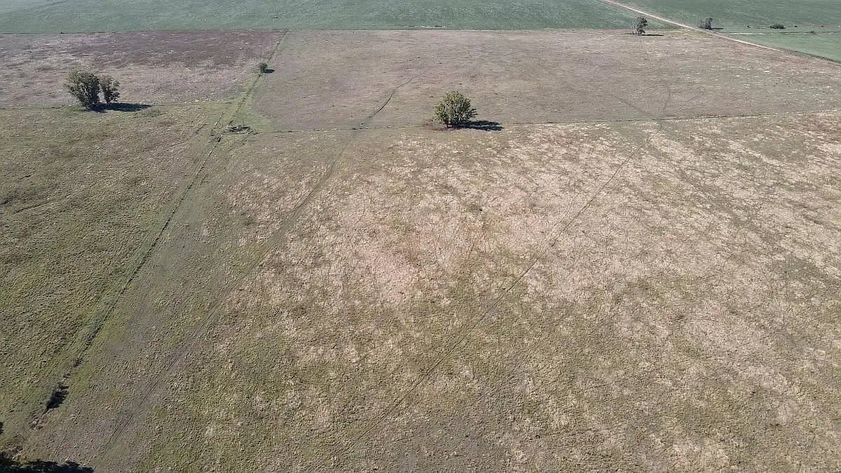 Venta de campos en Gualeguaychú,Campos ganaderos en venta Entre Ríos,Terrenos agrícolas en Gualeguaychú,Venta de campos mixtos en Entre Ríos,Oportunidades de inversión en tierras en Entre Ríos,Campos productivos en venta en Gualeguaychú,Inversiones rurales en Gualeguaychú,Venta de propiedades rurales en Entre Ríos,Terrenos para agricultura y ganadería en Gualeguaychú