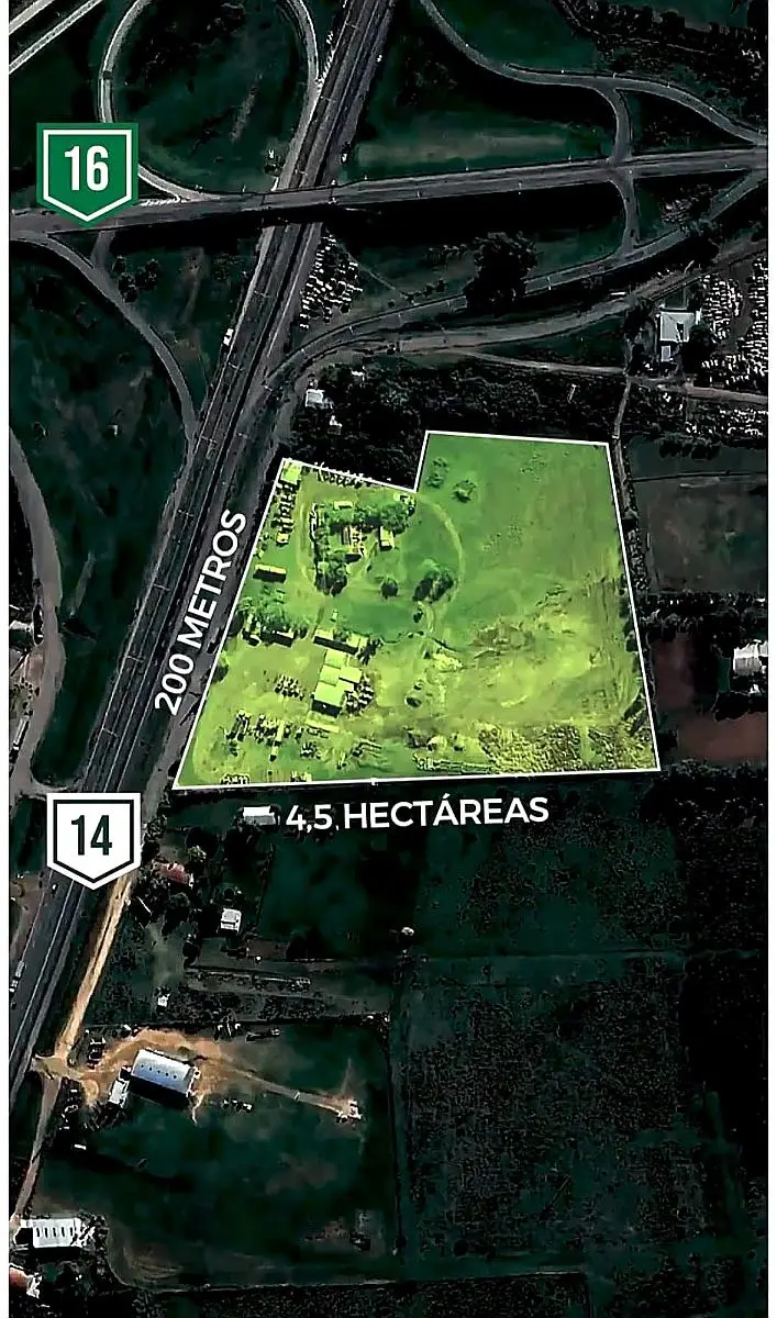 Venta de campos en Gualeguaychú,Campos ganaderos en venta Entre Ríos,Terrenos agrícolas en Gualeguaychú,Venta de campos mixtos en Entre Ríos,Oportunidades de inversión en tierras en Entre Ríos,Campos productivos en venta en Gualeguaychú,Inversiones rurales en Gualeguaychú,Venta de propiedades rurales en Entre Ríos,Terrenos para agricultura y ganadería en Gualeguaychú