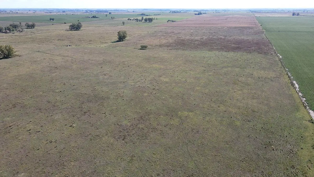 Venta de campos en Gualeguaychú,Campos ganaderos en venta Entre Ríos,Terrenos agrícolas en Gualeguaychú,Venta de campos mixtos en Entre Ríos,Oportunidades de inversión en tierras en Entre Ríos,Campos productivos en venta en Gualeguaychú,Inversiones rurales en Gualeguaychú,Venta de propiedades rurales en Entre Ríos,Terrenos para agricultura y ganadería en Gualeguaychú