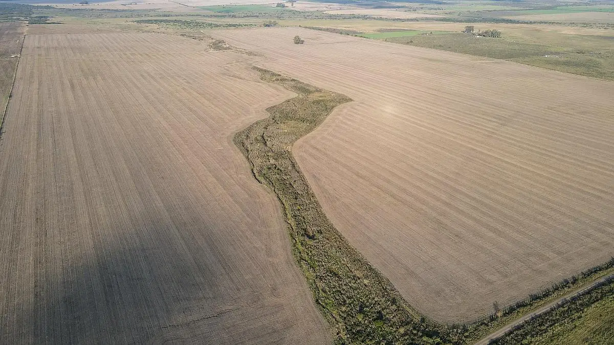 Venta de campos en Gualeguaychú,Campos ganaderos en venta Entre Ríos,Terrenos agrícolas en Gualeguaychú,Venta de campos mixtos en Entre Ríos,Oportunidades de inversión en tierras en Entre Ríos,Campos productivos en venta en Gualeguaychú,Inversiones rurales en Gualeguaychú,Venta de propiedades rurales en Entre Ríos,Terrenos para agricultura y ganadería en Gualeguaychú