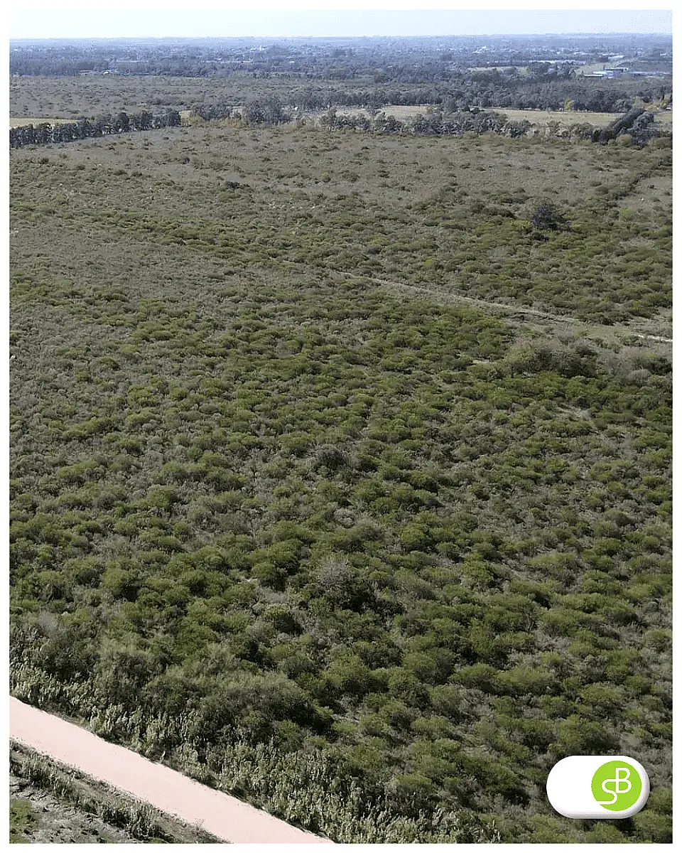 Venta de campos en Gualeguaychú,Campos ganaderos en venta Entre Ríos,Terrenos agrícolas en Gualeguaychú,Venta de campos mixtos en Entre Ríos,Oportunidades de inversión en tierras en Entre Ríos,Campos productivos en venta en Gualeguaychú,Inversiones rurales en Gualeguaychú,Venta de propiedades rurales en Entre Ríos,Terrenos para agricultura y ganadería en Gualeguaychú