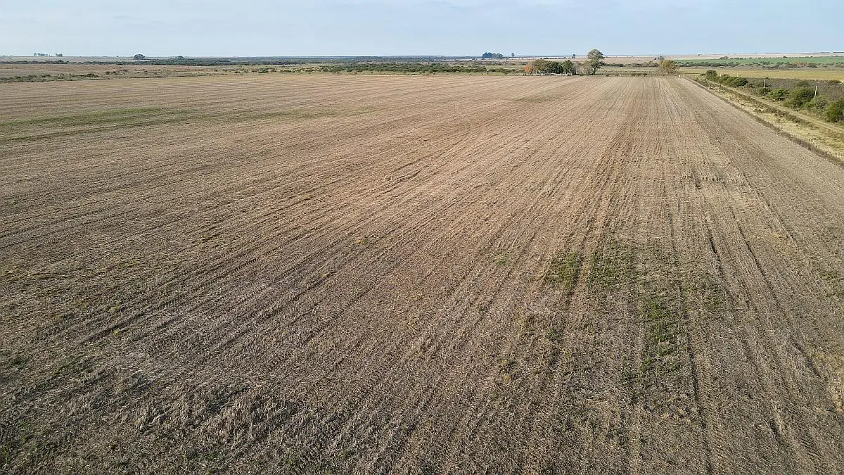 Venta de campos en Gualeguaychú,Campos ganaderos en venta Entre Ríos,Terrenos agrícolas en Gualeguaychú,Venta de campos mixtos en Entre Ríos,Oportunidades de inversión en tierras en Entre Ríos,Campos productivos en venta en Gualeguaychú,Inversiones rurales en Gualeguaychú,Venta de propiedades rurales en Entre Ríos,Terrenos para agricultura y ganadería en Gualeguaychú