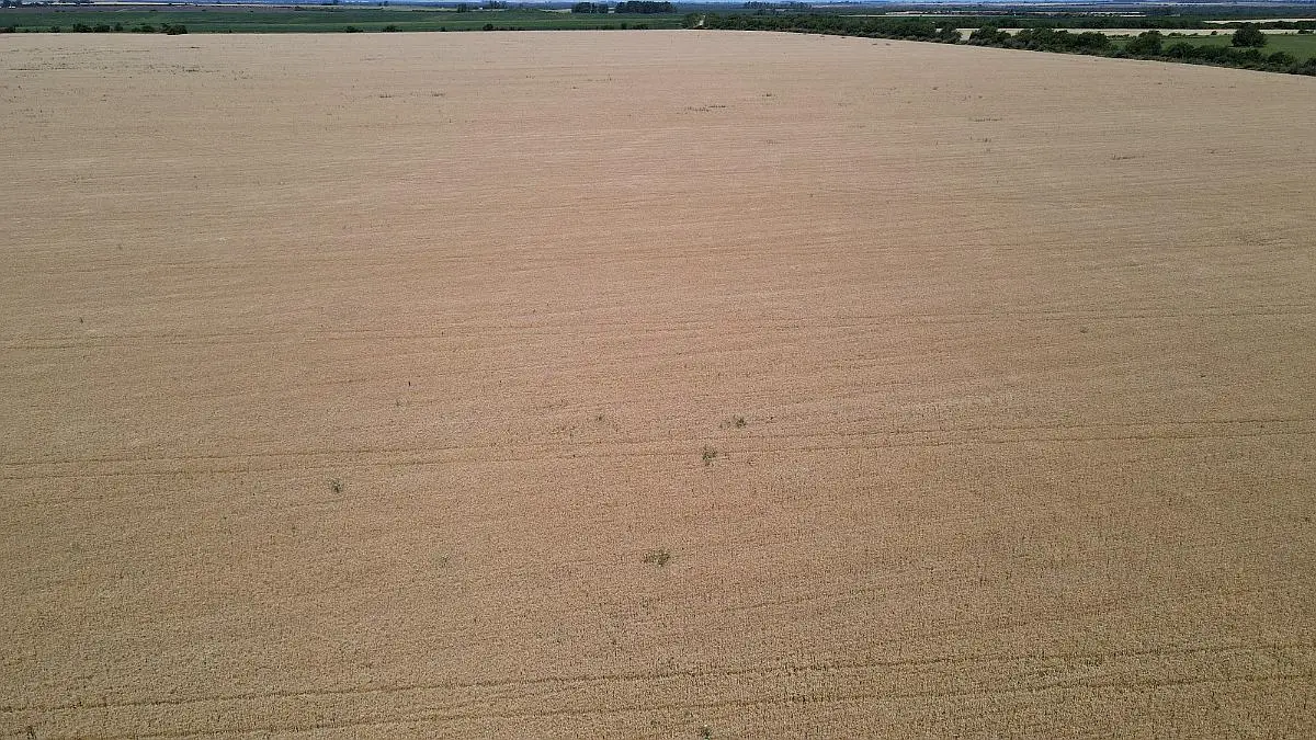 Venta de campos en Gualeguaychú,Campos ganaderos en venta Entre Ríos,Terrenos agrícolas en Gualeguaychú,Venta de campos mixtos en Entre Ríos,Oportunidades de inversión en tierras en Entre Ríos,Campos productivos en venta en Gualeguaychú,Inversiones rurales en Gualeguaychú,Venta de propiedades rurales en Entre Ríos,Terrenos para agricultura y ganadería en Gualeguaychú