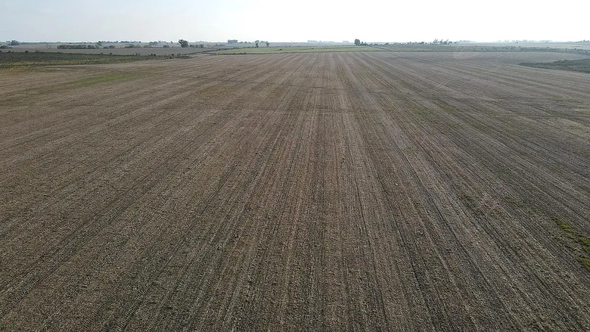 Venta de campos en Gualeguaychú,Campos ganaderos en venta Entre Ríos,Terrenos agrícolas en Gualeguaychú,Venta de campos mixtos en Entre Ríos,Oportunidades de inversión en tierras en Entre Ríos,Campos productivos en venta en Gualeguaychú,Inversiones rurales en Gualeguaychú,Venta de propiedades rurales en Entre Ríos,Terrenos para agricultura y ganadería en Gualeguaychú