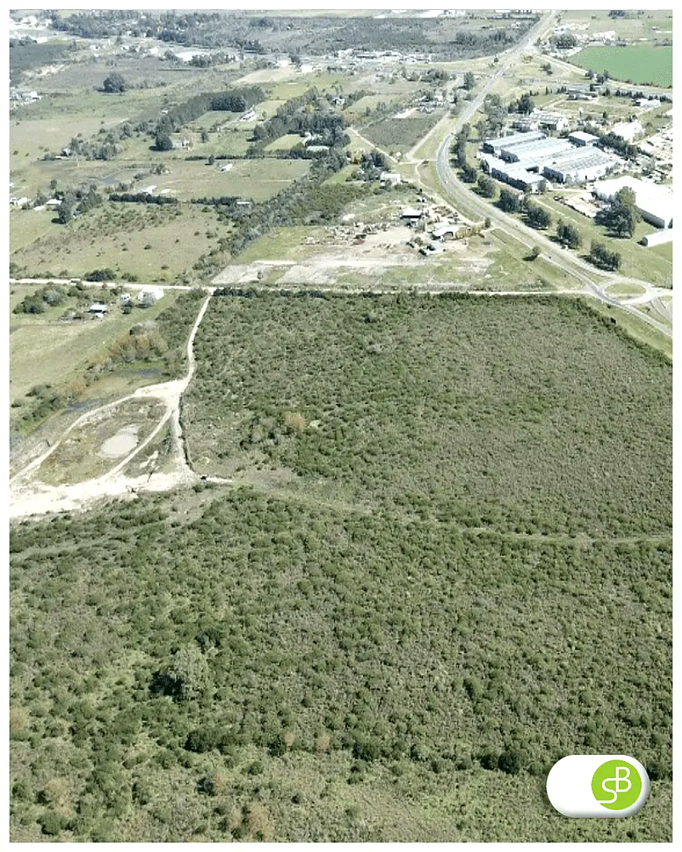 Venta de campos en Gualeguaychú,Campos ganaderos en venta Entre Ríos,Terrenos agrícolas en Gualeguaychú,Venta de campos mixtos en Entre Ríos,Oportunidades de inversión en tierras en Entre Ríos,Campos productivos en venta en Gualeguaychú,Inversiones rurales en Gualeguaychú,Venta de propiedades rurales en Entre Ríos,Terrenos para agricultura y ganadería en Gualeguaychú