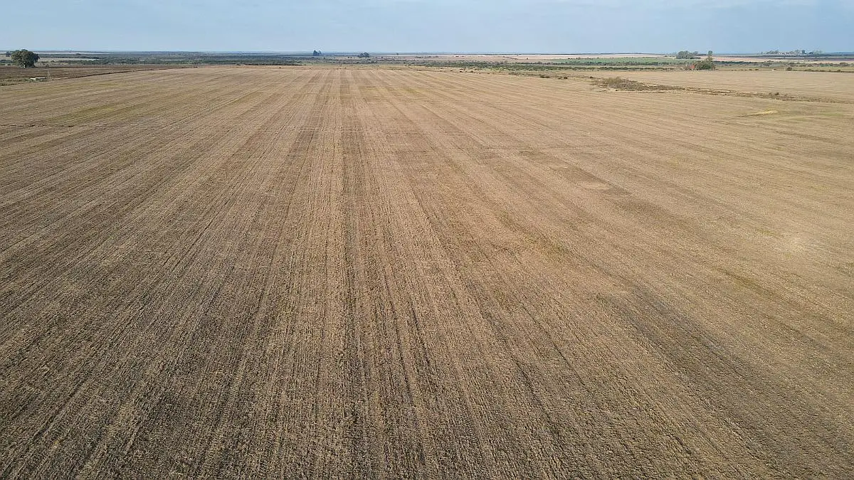 Venta de campos en Gualeguaychú,Campos ganaderos en venta Entre Ríos,Terrenos agrícolas en Gualeguaychú,Venta de campos mixtos en Entre Ríos,Oportunidades de inversión en tierras en Entre Ríos,Campos productivos en venta en Gualeguaychú,Inversiones rurales en Gualeguaychú,Venta de propiedades rurales en Entre Ríos,Terrenos para agricultura y ganadería en Gualeguaychú